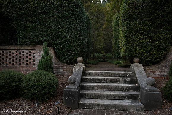 Elizabethan Gardens 2014 10 02 - 0079