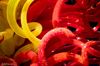 Chihuly and Dali  2014 12 17 - 0112