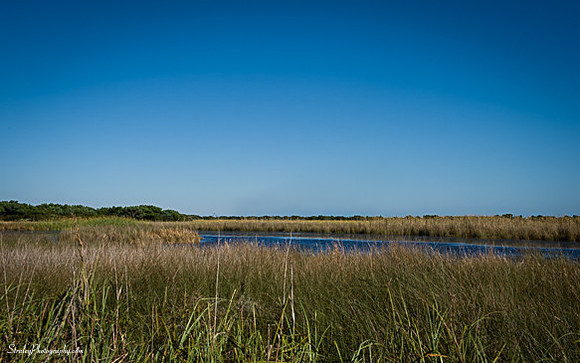 Ocracoke Island - 2014 10 17 - 0005