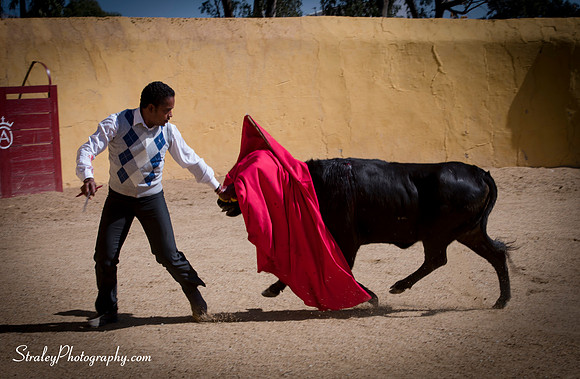 Seville 2013 10 10 - 0261