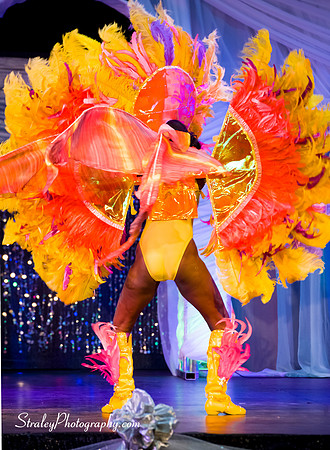 Spicemas National Queen Show - 2017 08 10 - 0520