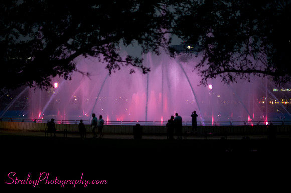 Friendship Fountain Opening Day 2011 06 18 -117