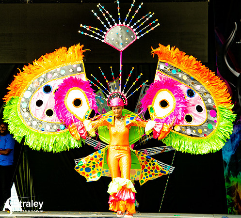 Childrens  Carnival Frolic - 2018 08 13 - 0510