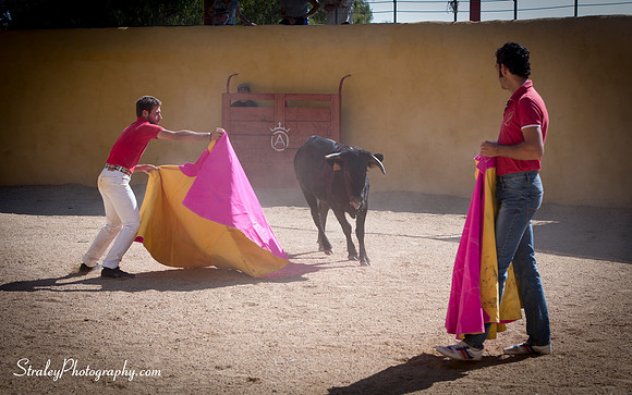 Seville 2013 10 10 - 0293
