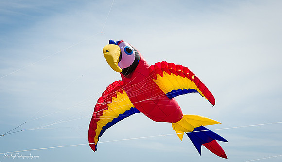 Kites 2014 09 28 - 0014