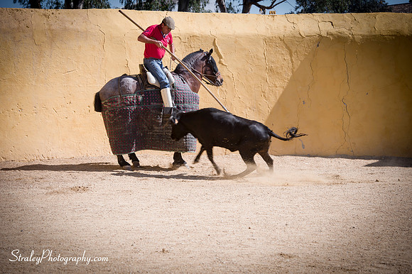 Seville 2013 10 10 - 0183