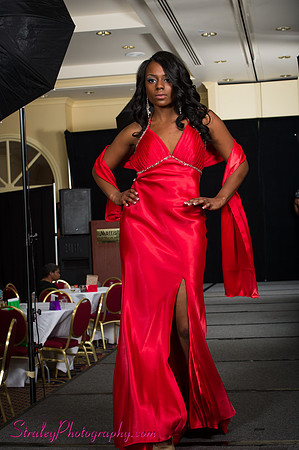 Arlenes Gowns Runway 2013 03 10 - 0258