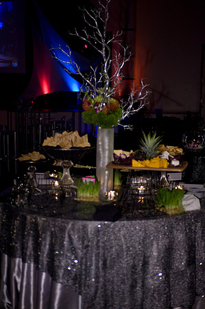 JCA Fund Raiser 2011 04 09  - 0046