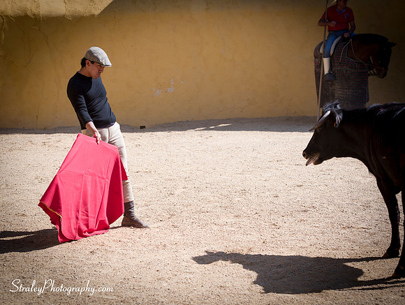 Seville 2013 10 10 - 0374