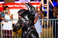 Spicemas 2018 Launch - 2018 04 07 - 0778