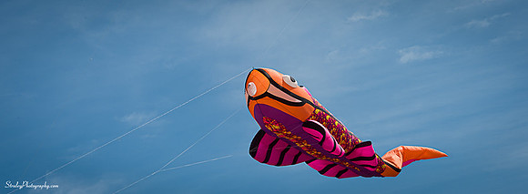 Kites 2014 09 28 - 0003