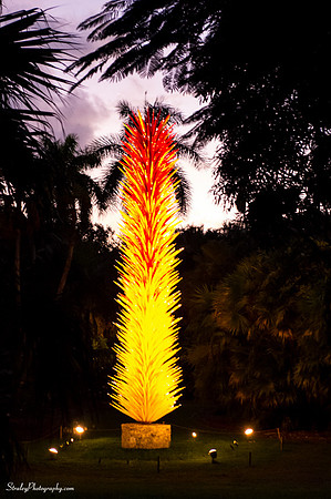 Chihuly at Fairchild Gardens  2015 01 08 - 0166