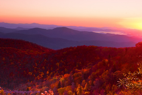Brevard NC 2010 10 - 009