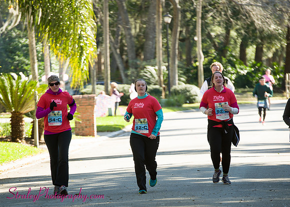 26.2 Race 2013 02 17 - 0584