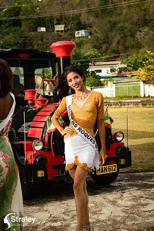 Miss Caribbean United About Town  - 2018 06 01 - 0156