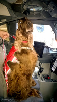 Mick in plane  2015 01 10 - 0006