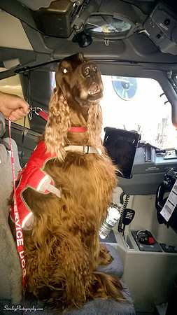 Mick in plane  2015 01 10 - 0006