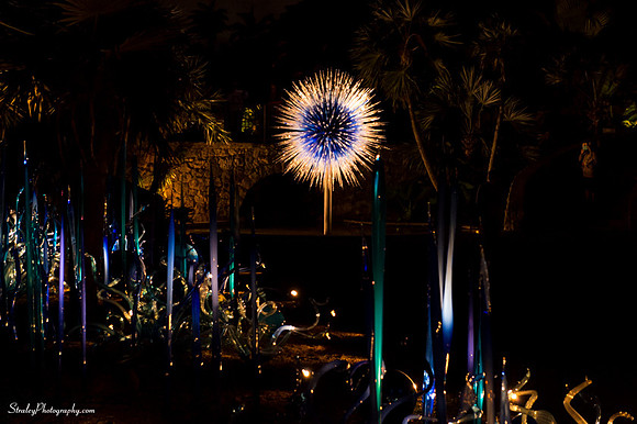 Chihuly at Fairchild Gardens  2015 01 08 - 0221