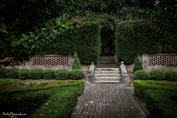 Elizabethan Gardens 2014 10 02 - 0082