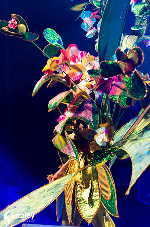 King and Queen of the Bands - 2018 08 13 - 0202