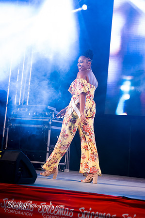 Spicemas 2018 Launch - 2018 04 07 - 0318