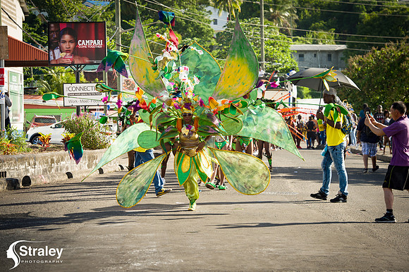 Parade of the Bands - 2018 08 14 - 0555