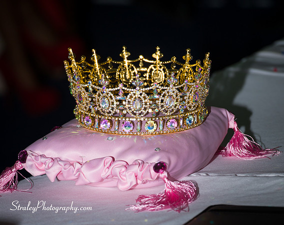 Caribbean United Pageant Kickoff - 2017 04 26 - 0037