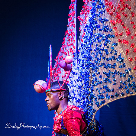 King and Queen of the Bands 2016 08 07 - 0453