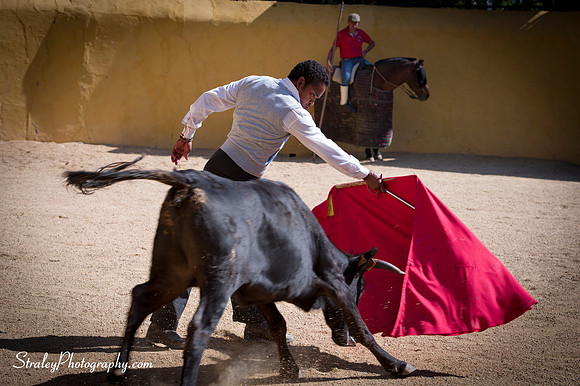 Seville 2013 10 10 - 0301