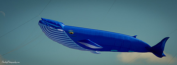 Kites 2014 09 30 - 0029