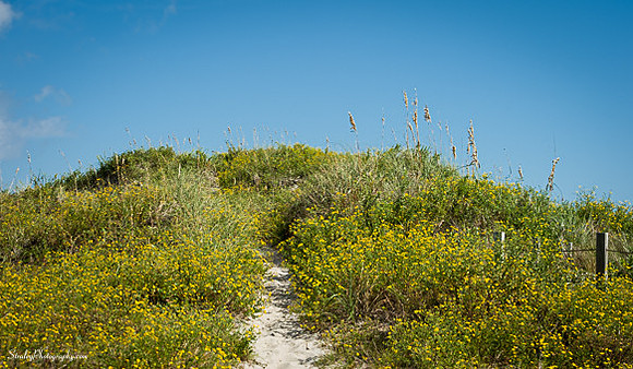 Ocracoke Island  2014 10 05 - 0033