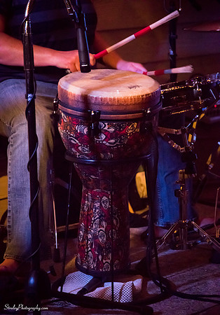 Ali and the Katz 2014 09 25 - 0177
