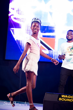 Spicemas 2018 Launch - 2018 04 07 - 0228