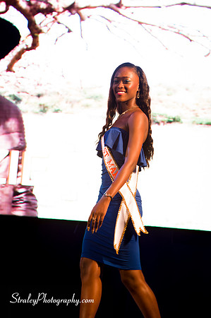Spicemas 2018 Launch - 2018 04 07 - 0384