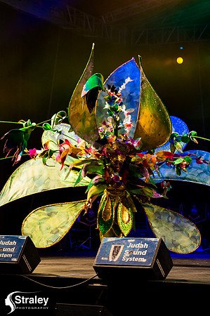 King and Queen of the Bands - 2018 08 13 - 0234