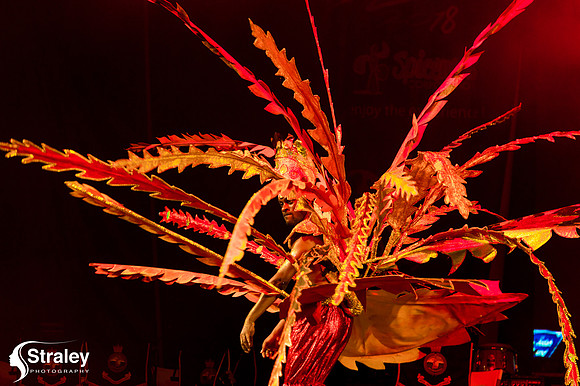 King and Queen of the Bands - 2018 08 13 - 0306