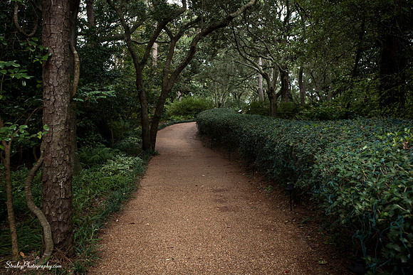 Elizabethan Gardens 2014 10 02 - 0050