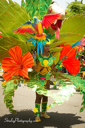 Parade of the Bands 2016 08 08 - 0125