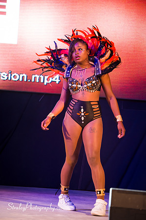 Spicemas 2018 Launch - 2018 04 07 - 0573