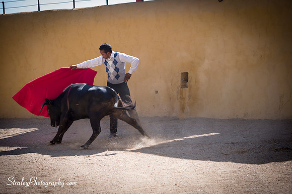Seville 2013 10 10 - 0237