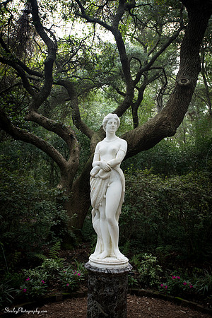 Elizabethan Gardens 2014 10 02 - 0062