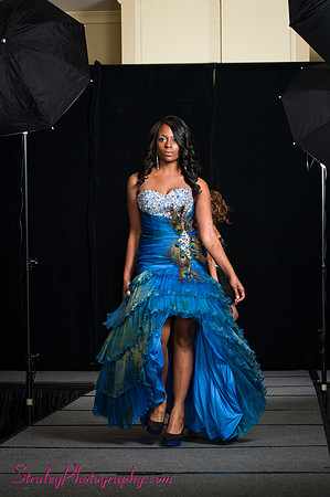 Arlenes Gowns Runway 2013 03 10 - 0071