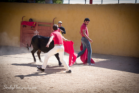 Seville 2013 10 10 - 0334