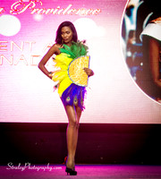 Miss Caribbean United Pageant  2017 04 29  - 0669