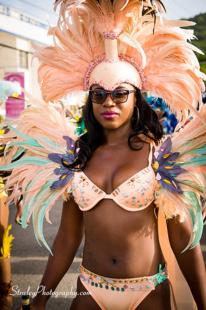 Parade of the Bands - Spicemas 2017 - 2017 08 14 - 1569