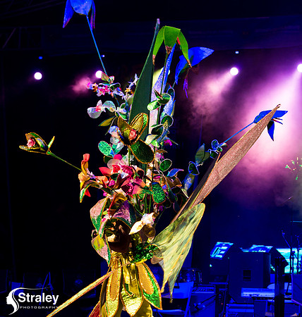 King and Queen of the Bands - 2018 08 13 - 0187