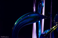Chihuly and Dali  2014 12 17 - 0088