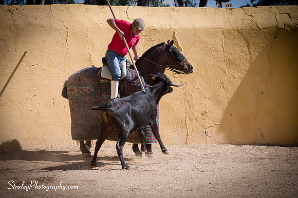 Seville 2013 10 10 - 0177