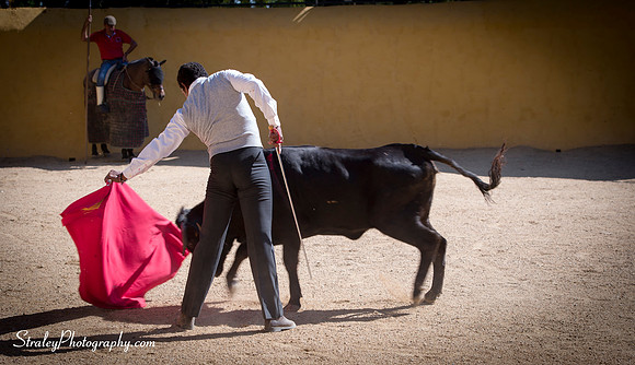Seville 2013 10 10 - 0256