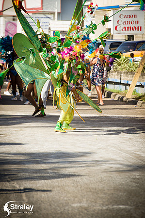Parade of the Bands - 2018 08 14 - 0570
